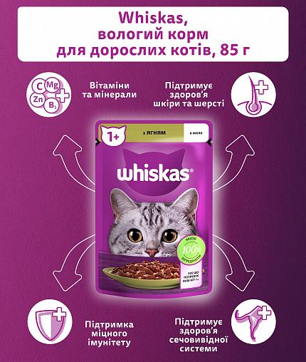 Whiskas Консерва для котів з ягням в желе купити KITIPES.COM.UA