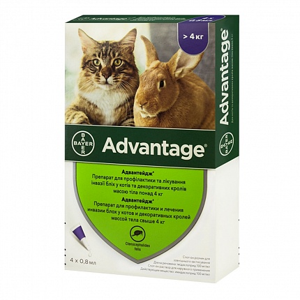 Advantage Краплі на холку від бліх для котів та гриузунів більше 4 кг купити KITIPES.COM.UA