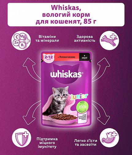 Whiskas Junior Консерви для кошенят з яловичиною в соусі купити KITIPES.COM.UA