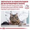 Royal Canin Gastrointestinal Feline Консерви для котів при порушенні травлення