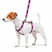 Шлея для собак анатомічна H-образна WAUDOG Nylon з QR-паспортом, малюнок  "Pожевий камо", пластиковий фастекс