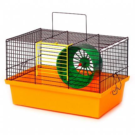 Клітка для гризунів Лорі "ХОМ'ЯК", 33x23х22 см купити KITIPES.COM.UA