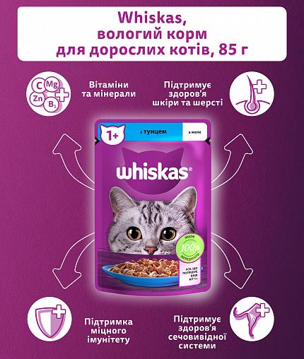 Whiskas Консерва для котів з тунцем в желе купити KITIPES.COM.UA