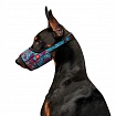 Намордник для собак WAUDOG Nylon, малюнок "Літо", пластиковий фастекс
