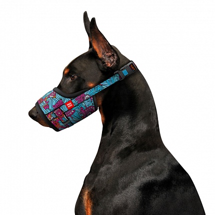Намордник для собак WAUDOG Nylon, малюнок "Літо", пластиковий фастекс на kitipes.com.ua