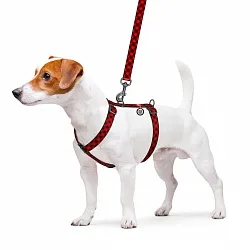 Шлея для собак анатомическая H-образная WAUDOG Nylon "Шотландка красная", пластиковый фастекс