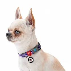 Ошейник для собак нейлоновый WAUDOG Nylon с QR, Фиолетовый камо, пластиковый фастекс