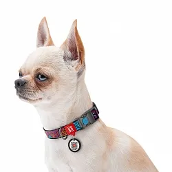 Ошейник для собак нейлоновый WAUDOG Nylon "Лето" с QR паспортом, пластиковый фастекс