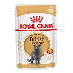 Royal Canin British Shorthair (шматочки в соусі) Консервований корм для дорослих кішок