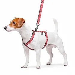 Шлея для собак анатомическая H-образная WAUDOG Nylon с QR-паспортом, рисунок "Этно красный", пластиковый фастекс