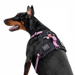 Шлея для собак безопасная WAUDOG Nylon с QR паспортом, металлическая пряжка-фастекс