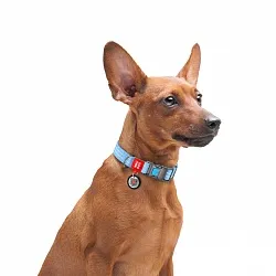 Ошейник для собак из восстановленного хлопка WAUDOG Re-cotton с QR паспортом, светоотражающий, пластиковый фастекс