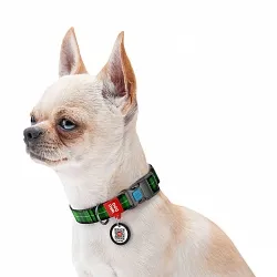 Нашийник для собак нейлоновий WAUDOG Nylon з QR, Шотландка зелена, пластиковий фастекс