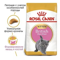 Royal Canin British Shorthair Kitten Корм для котят породы британская короткошерстная