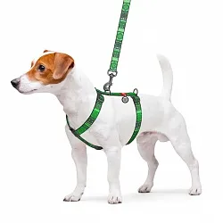 Шлея для собак анатомическая H-образная WAUDOG Nylon с QR-паспортом, рисунок "Этно зеленый", пластиковый фастекс