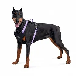 Шлея для собак безпечна WAUDOG Nylon з QR паспортом, металічна пряжка-фастекс