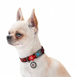 Ошейник для собак нейлоновый WAUDOG Nylon с QR, "Шотландка красная", пластиковый фастекс