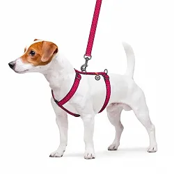 Шлей для собак анатомический H-образный WAUDOG Nylon с QR-паспортом, рисунок "Арбуз", пластиковый фастекс