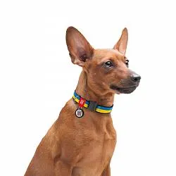 Нашийник для собак нейлоновий WAUDOG Nylon з QR, Colors of freedom, металева пряжка-фастекс