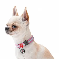 Ошейник для собак нейлоновый WAUDOG Nylon с QR паспортом, светонакопительный, металлическая пряжка-фастекс