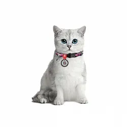 Нашийник для котів нейлоновий WAUDOG Nylon з QR паспортом, малюнок "Рожевий камо", пластиковий фастекс