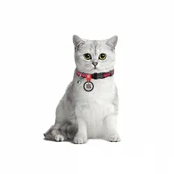 Ошейник для кошек нейлоновый WAUDOG Nylon, "Арбуз", пластиковый фастекс