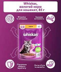 Whiskas Junior Консерва для кошенят з куркою