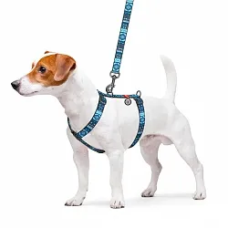 Шлея для собак анатомическая H-образная WAUDOG Nylon с QR-паспортом, рисунок "Этно синий", пластиковый фастекс