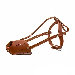 COLLAR - Намордник для стаффа, бультерьера, добермана