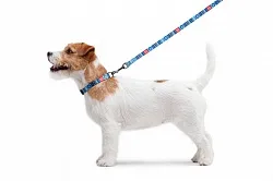 Поводок для собак нейлоновый WAUDOG Nylon, рисунок "Этно синий"