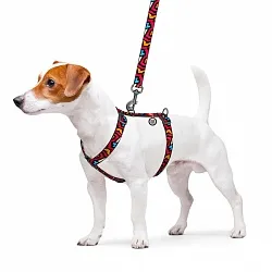 Шлея для собак анатомічна H-подібна WAUDOG Nylon з QR, "Графіті", пластиковий фастекс