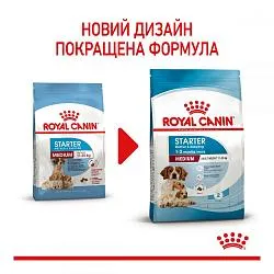 Royal Canin Medium Starter для собак средних пород в период беременности и кормления грудью