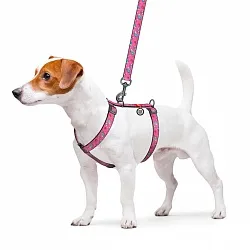 Шлея для собак анатомическая H-образная WAUDOG Nylon с QR-паспортом, рисунок "Единороги", пластиковый фастекс