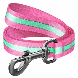 Поводок для собак нейлоновый WAUDOG Nylon, светонакопительный
