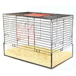Клітка для гризунів Лорі "Кролик Glass-70", 70х50х39 см, цинк