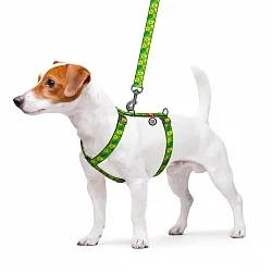 Шлея для собак анатомическая H-образная WAUDOG Nylon с QR-паспортом, рисунок "Авокадо", пластиковый фастекс